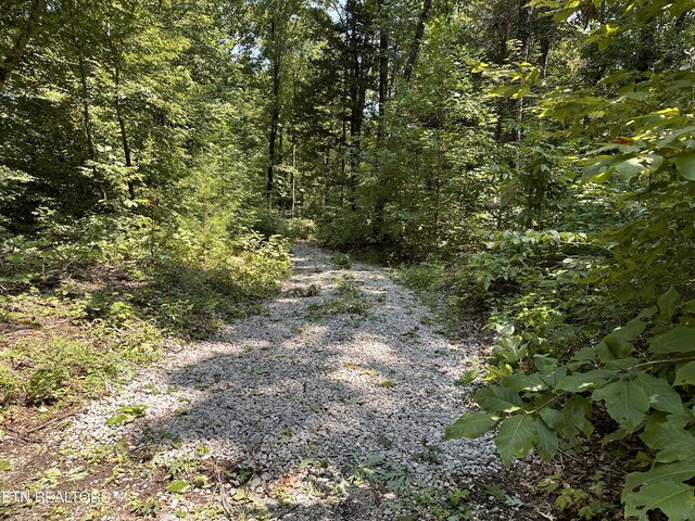 Listing photo 3 for 12.55AC Winningham Rd, Byrdstown TN 38549