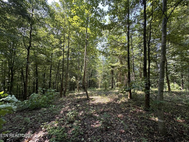 12.55AC Winningham Rd, Byrdstown TN, 38549 land for sale