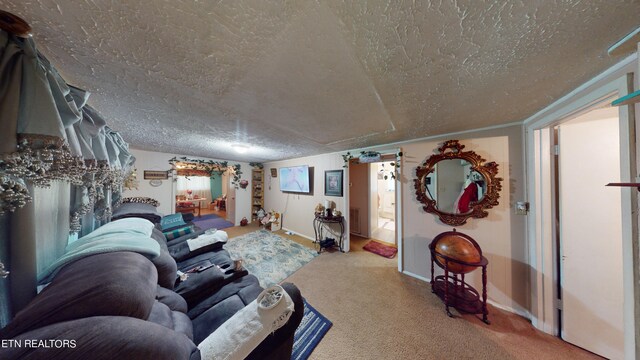 carpeted living room with a textured ceiling