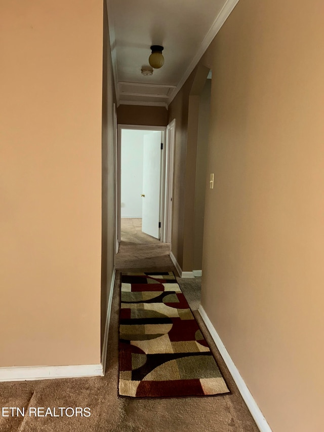 corridor featuring carpet flooring and ornamental molding