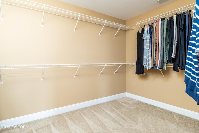 spacious closet with carpet