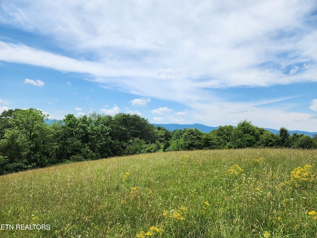 Listing photo 2 for Hiwassee Dr, Jacksboro TN 37757