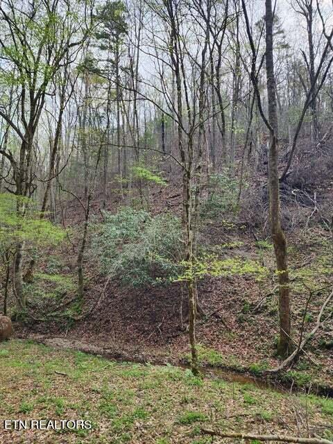 Hidden Hollow Way, Sevierville TN, 37862 land for sale