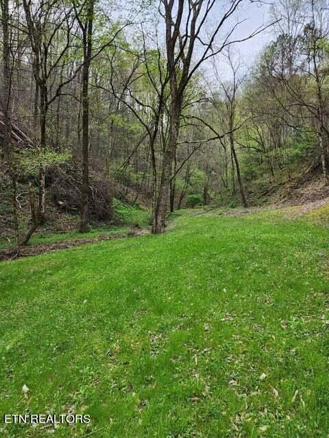 Listing photo 3 for Hidden Hollow Way, Sevierville TN 37862