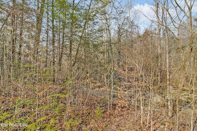 Double Top Rd, Jamestown TN, 38556 land for sale