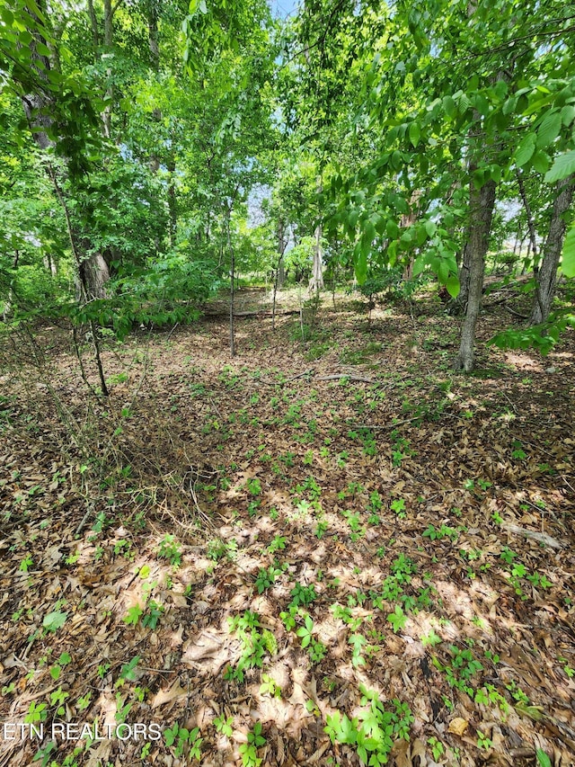 Hiwassee Dr, Jacksboro, TN 37757