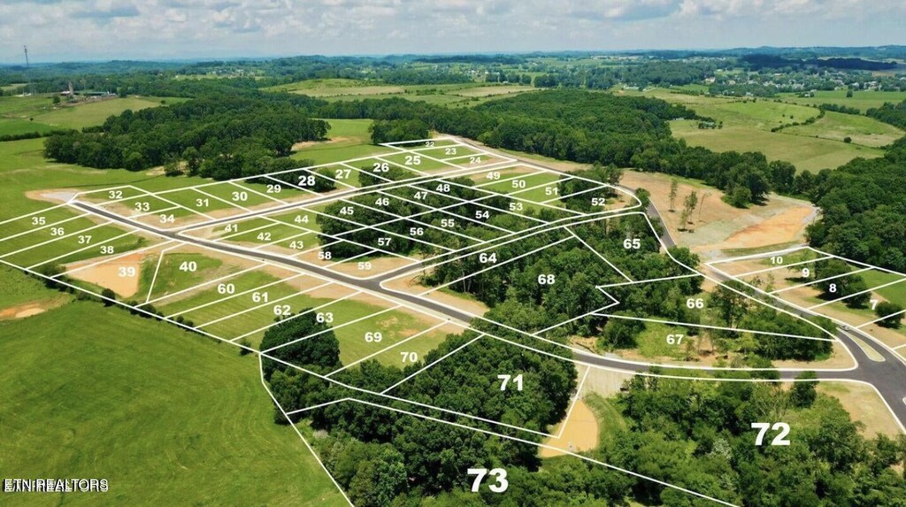 LOT67 Herbert Dr, Greenback, TN 37742 - photo 1