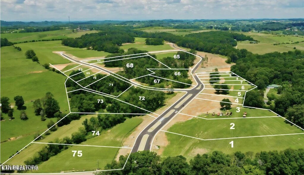 LOT67 Herbert Dr, Greenback, TN 37742 - photo 2