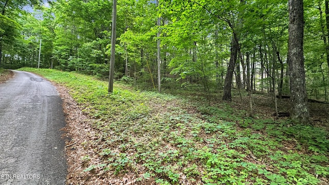 Listing photo 3 for LOT1 Graves Hollow Rd, Maynardville TN 37807