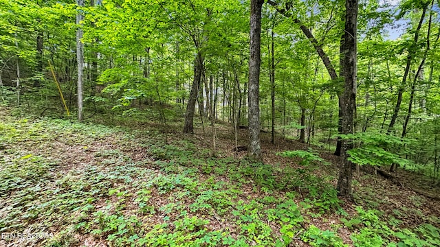 Listing photo 2 for LOT1 Graves Hollow Rd, Maynardville TN 37807