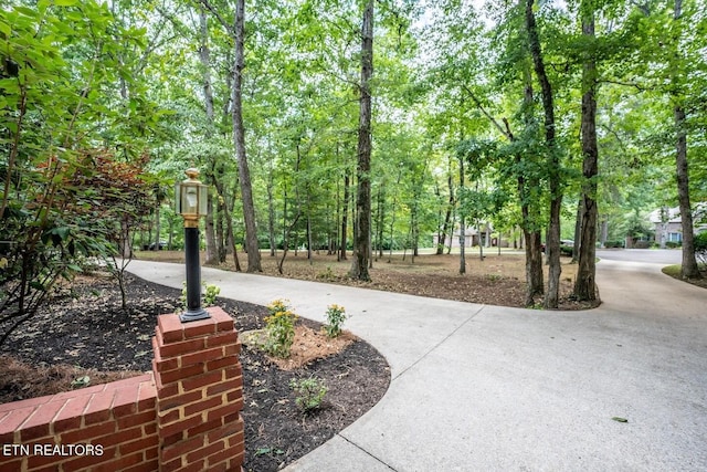 view of property's community featuring concrete driveway