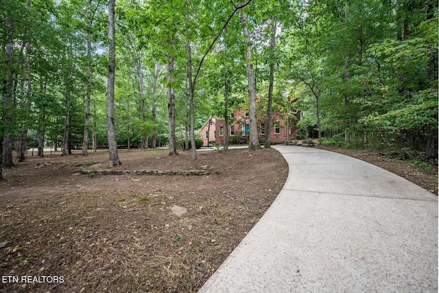 view of community featuring driveway