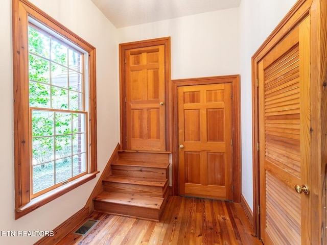 interior space with a healthy amount of sunlight and wood-type flooring