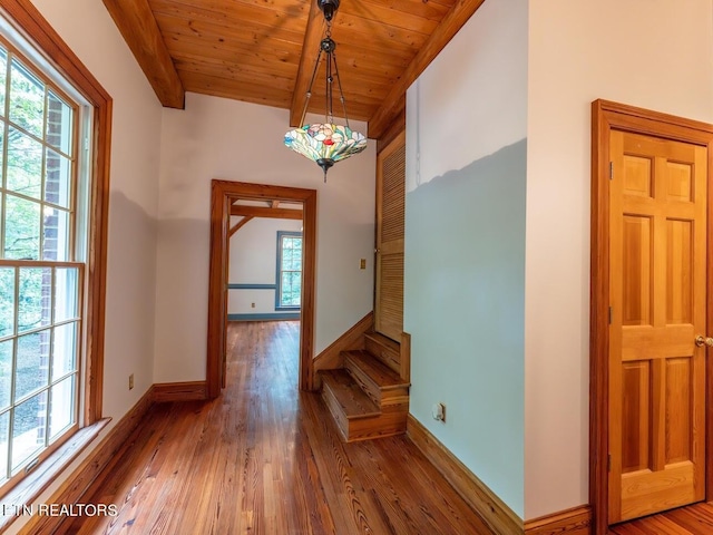 interior space with hardwood / wood-style floors, baseboards, beamed ceiling, and plenty of natural light