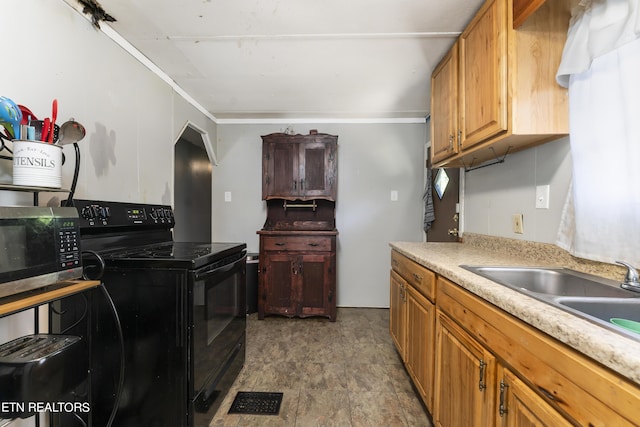 kitchen with electric range, sink, and crown molding