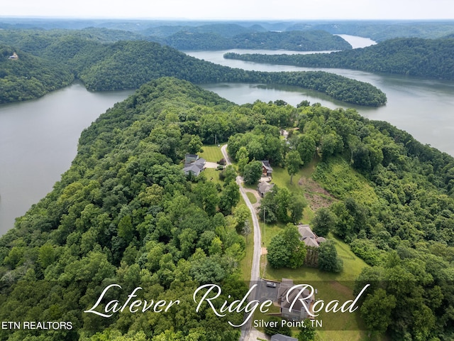 1ACRE Lafever Ridge Rd, Silver Point TN, 38582 land for sale