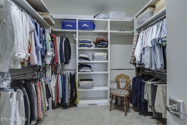 walk in closet featuring carpet