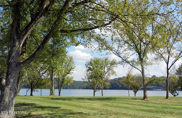 view of home's community with a water view and a lawn