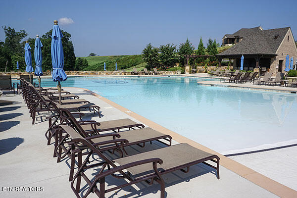 view of pool with a patio area