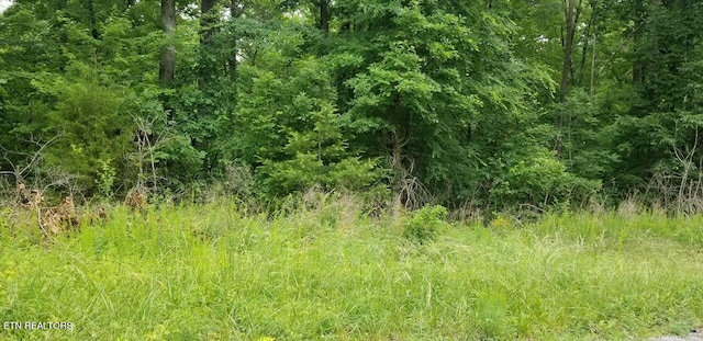 LOT114 Randall Fugate Rd, Spring City TN, 37381 land for sale