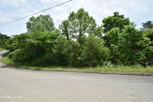 Penelope Ln, Sevierville TN, 37876 land for sale