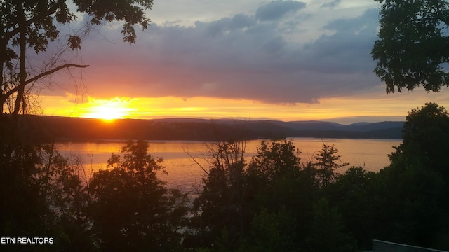 water view featuring a mountain view