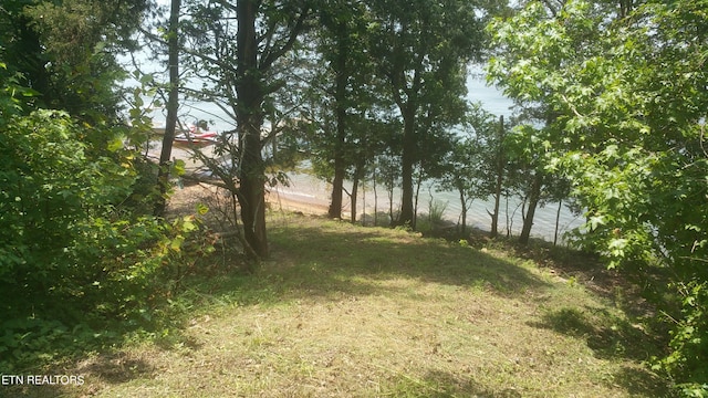 view of yard featuring a water view