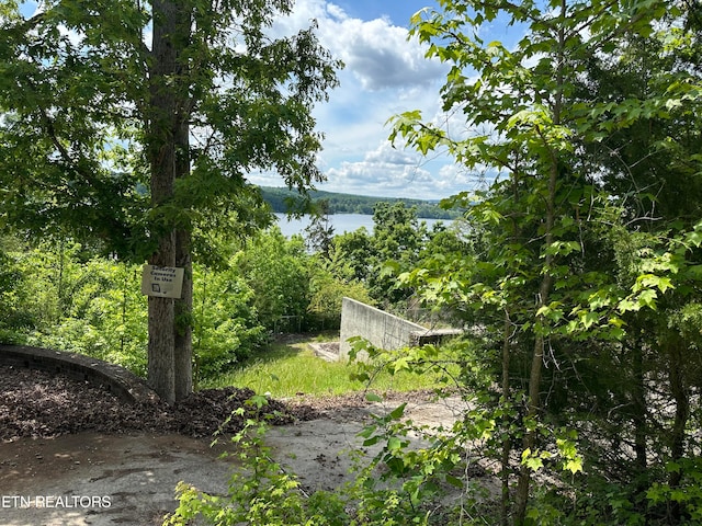 view of water feature