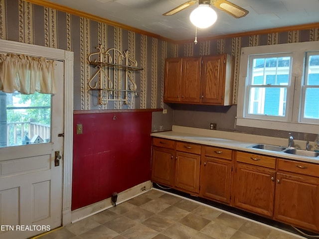 kitchen with ceiling fan, a healthy amount of sunlight, and sink