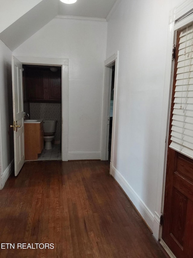 corridor featuring ornamental molding, dark hardwood / wood-style floors, lofted ceiling, and sink