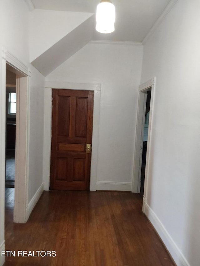 hall with crown molding and dark wood-type flooring