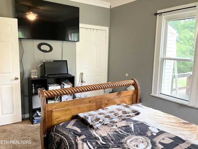 bedroom featuring crown molding and carpet