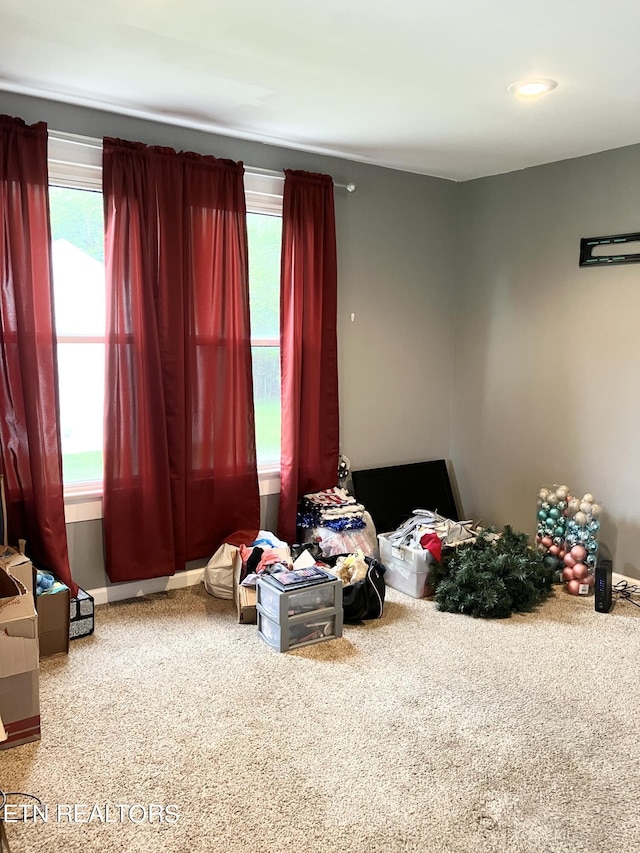 rec room with carpet flooring and a wealth of natural light