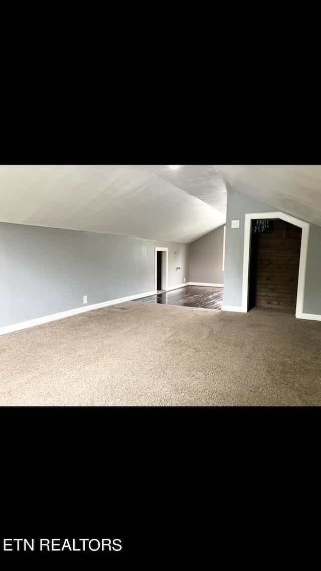 interior space with vaulted ceiling and carpet flooring