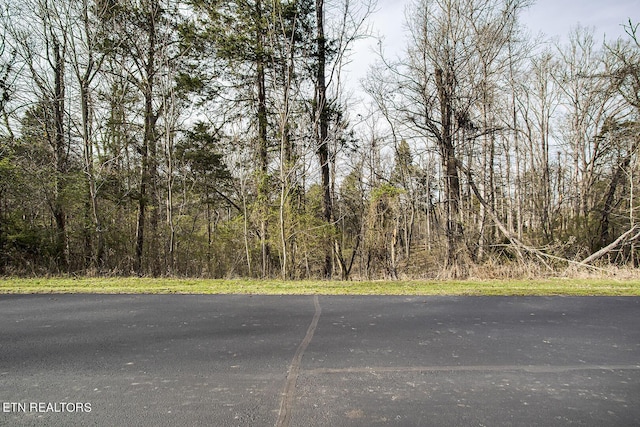 Listing photo 3 for LOT29/30 E Shore Dr, Rockwood TN 37854