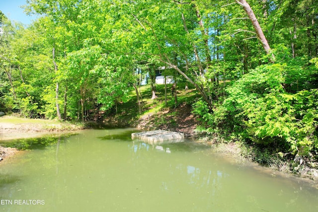2109 Key Way, Sevierville, TN 37876 - water view