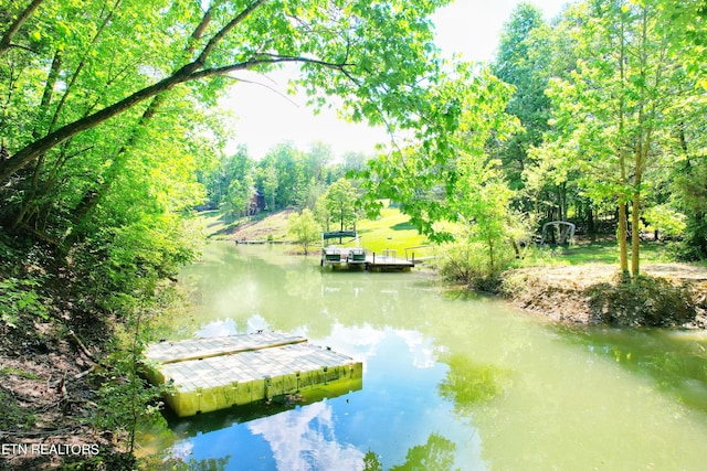 dock area featuring a water view