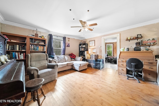 living room with ceiling fan, ornamental molding, and light wood-type flooring