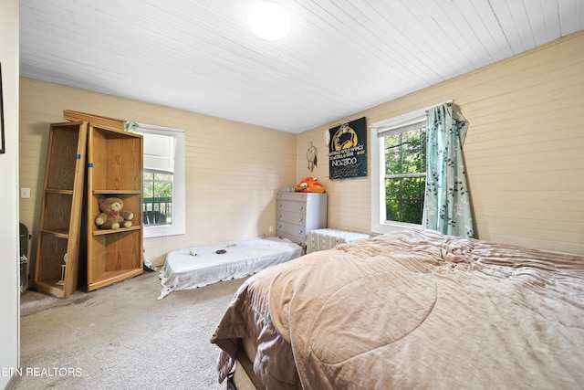 carpeted bedroom with multiple windows