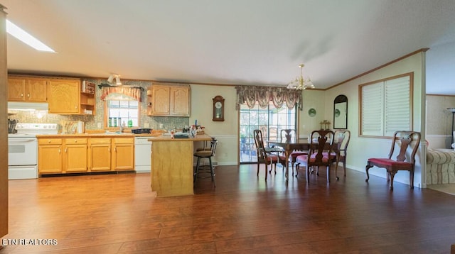 kitchen featuring plenty of natural light, light hardwood / wood-style floors, and white appliances