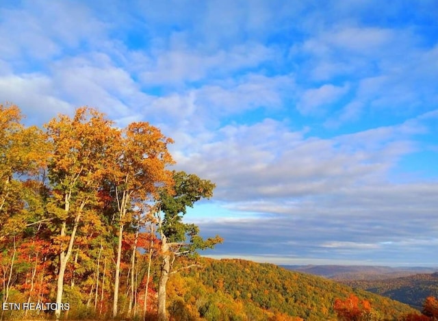 view of mountain feature