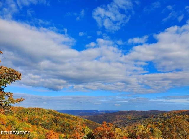 view of mountain feature