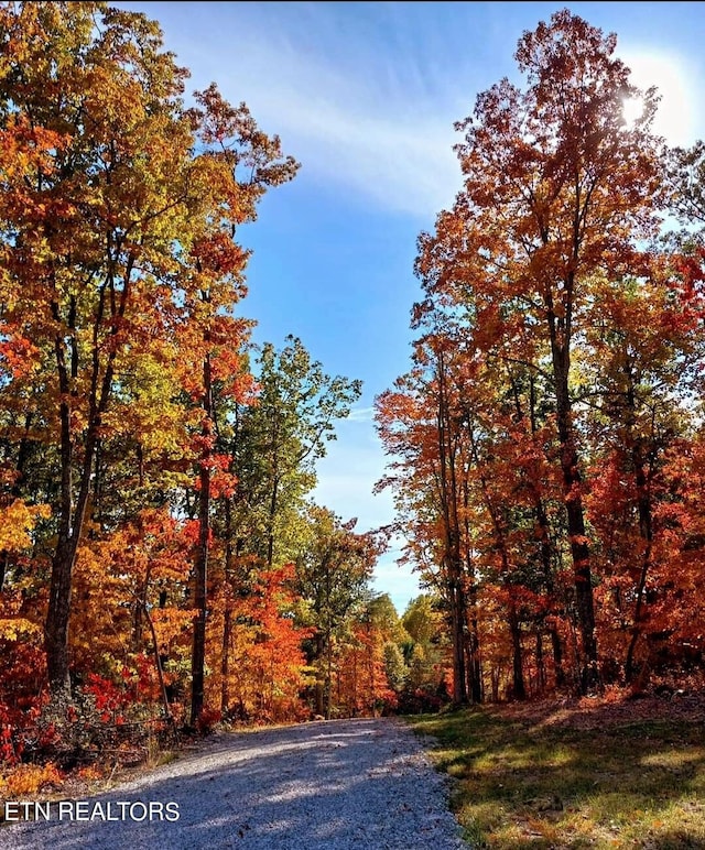 view of road