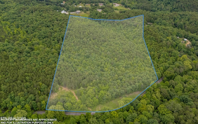 Wiggins Rd, Tellico Plains TN, 37385 land for sale