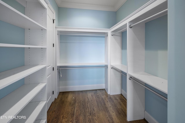 spacious closet with dark hardwood / wood-style floors