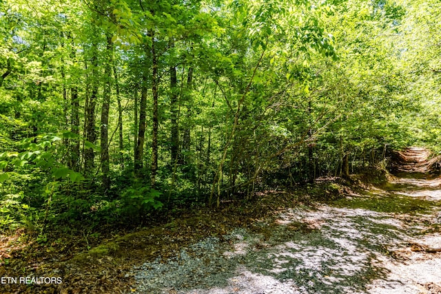 Listing photo 2 for LOT11 Bobcat Trl, Tallassee TN 37878