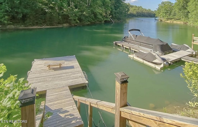 dock area featuring a water view