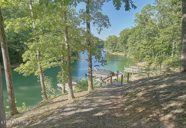 property view of water with a boat dock