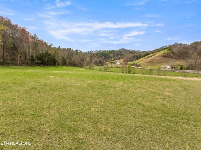 Listing photo 3 for Uncle Harvey Rd, Sevierville TN 37862