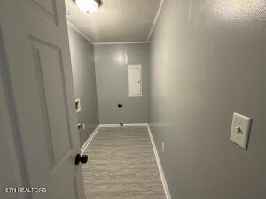 laundry area with light wood-type flooring, ornamental molding, and electric dryer hookup